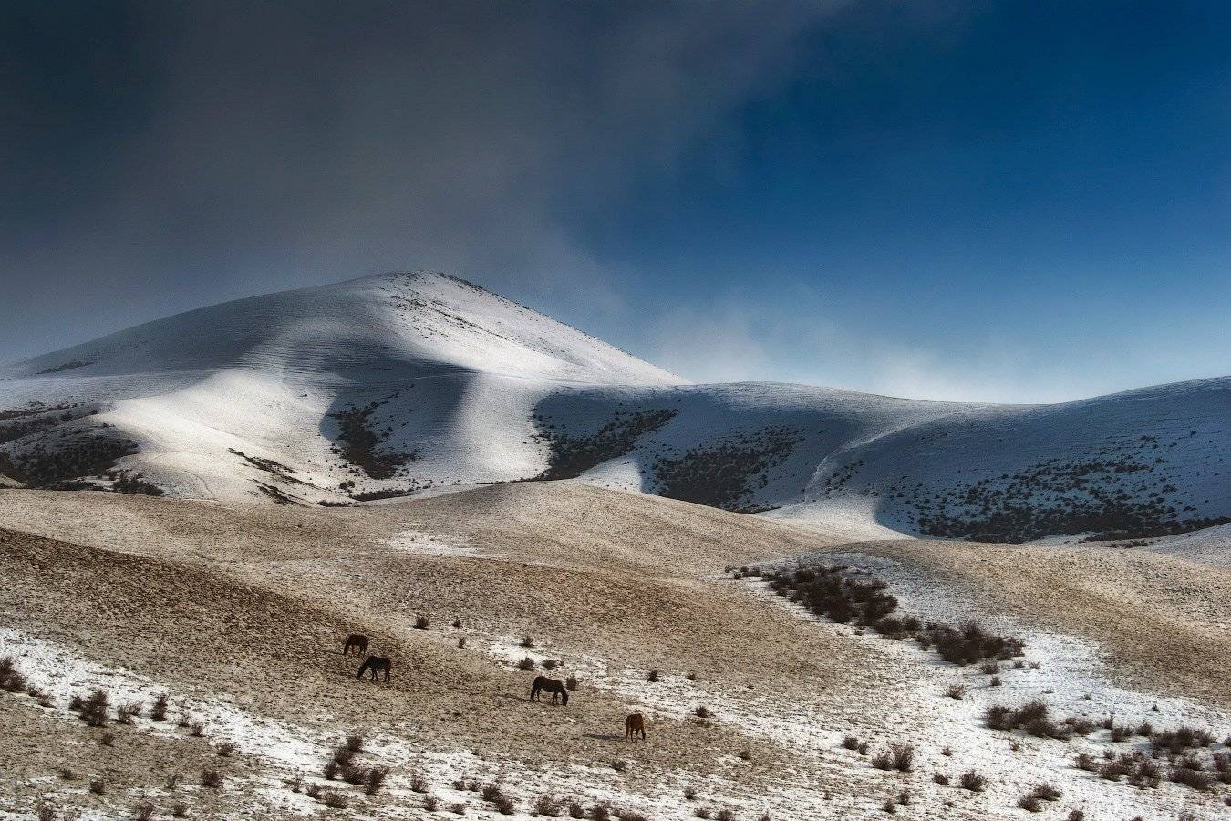 Дегерес, Зима, Лошади, Ольга Кулакова