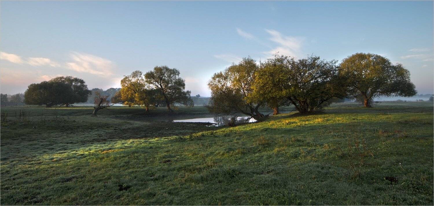 , Николай Шахманцир