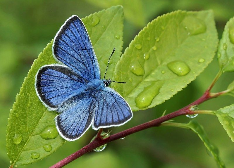 после теплого дождя фото превью