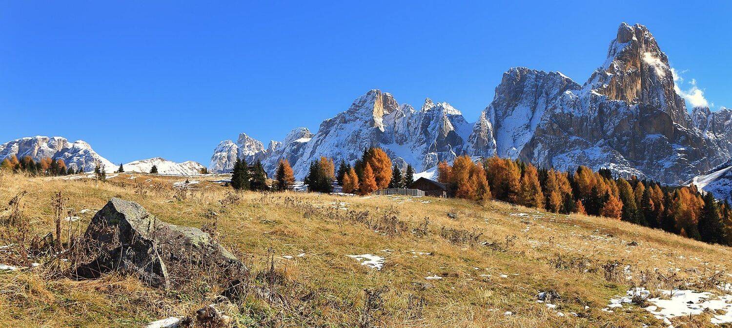 , Игорь Дубровский