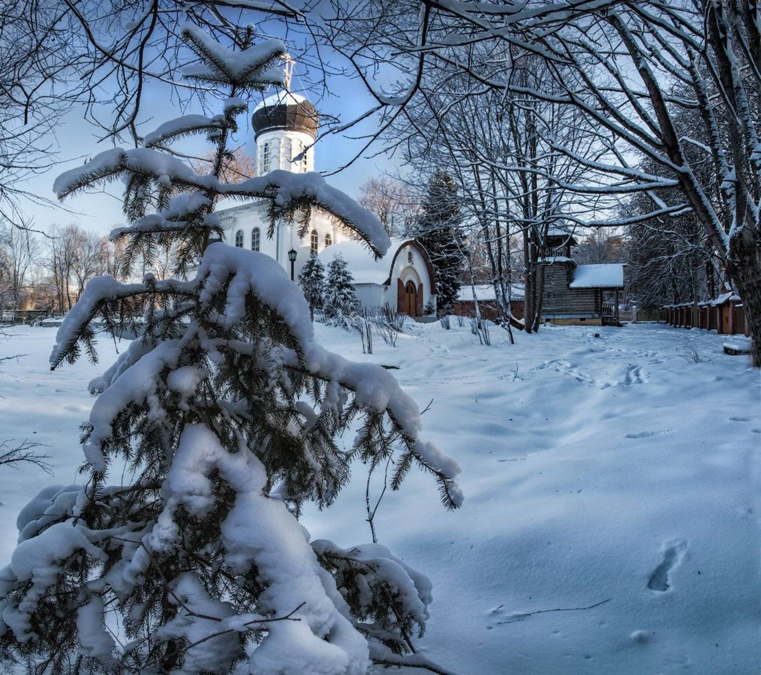Подмосковье, Марьина Гора, январь, Андрей Леонидович