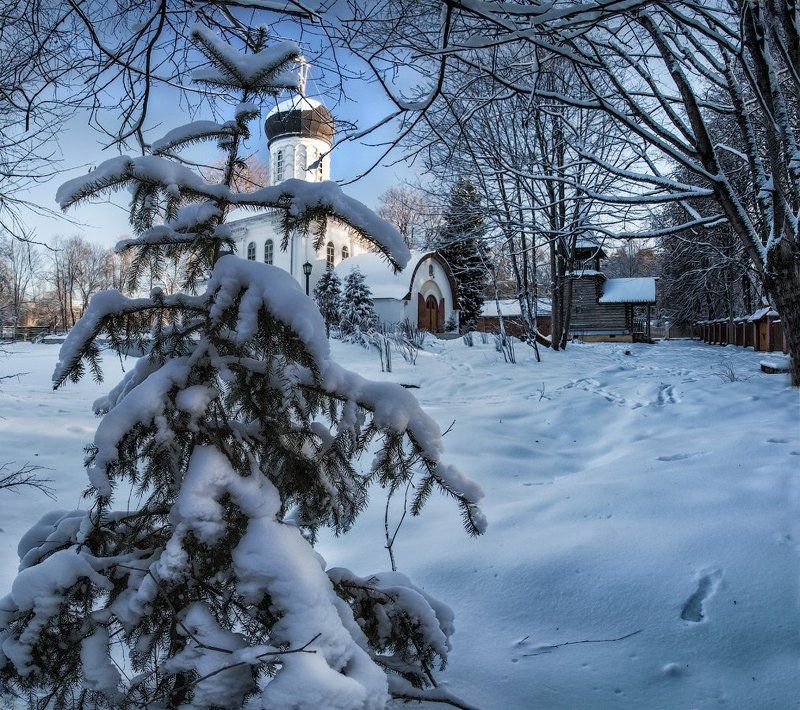 Подмосковье, Марьина Гора, январь Рождественские прогулки фото превью