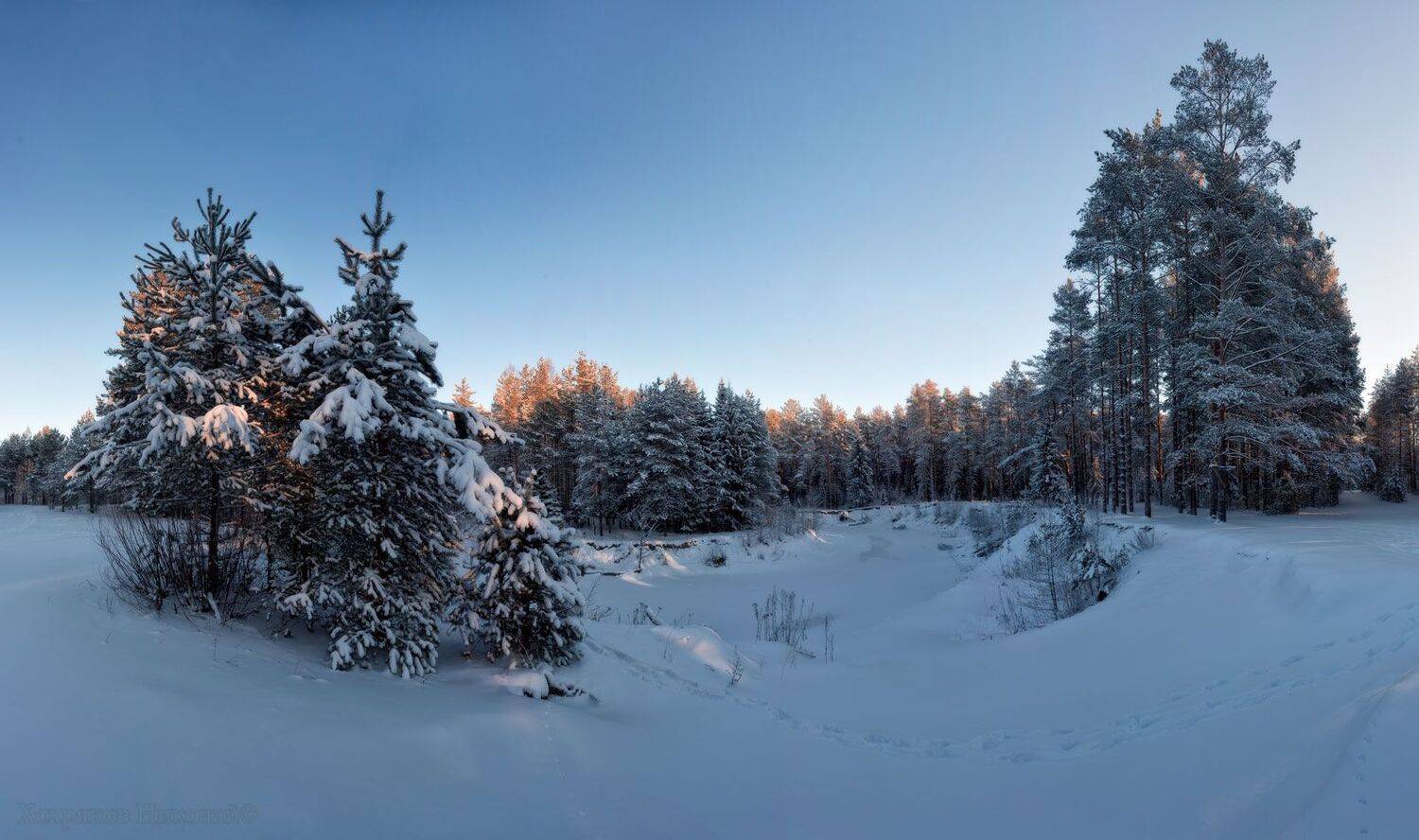 , Хохряков Николай