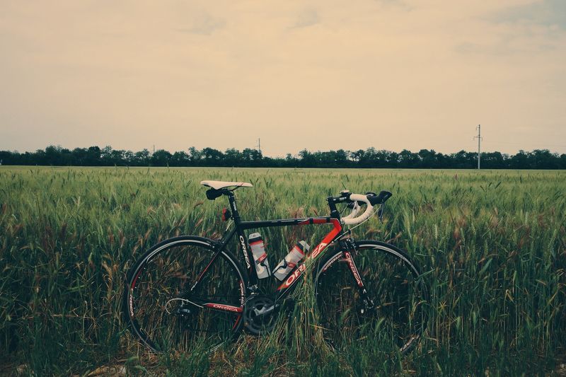 мобильная, фотография, mobile, photography Мобильная фотография ч.24 фото превью