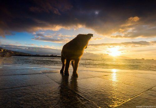 Утро нового дня