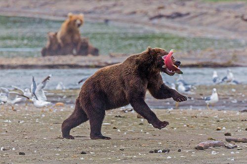 Удачная рыбалка!!