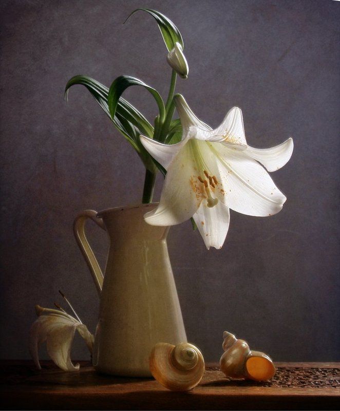 Лилия, Натюрморт, Фотонатюрморт  фото превью
