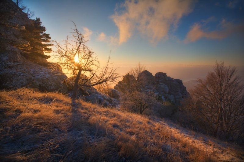 Новогодний рассвет фото превью