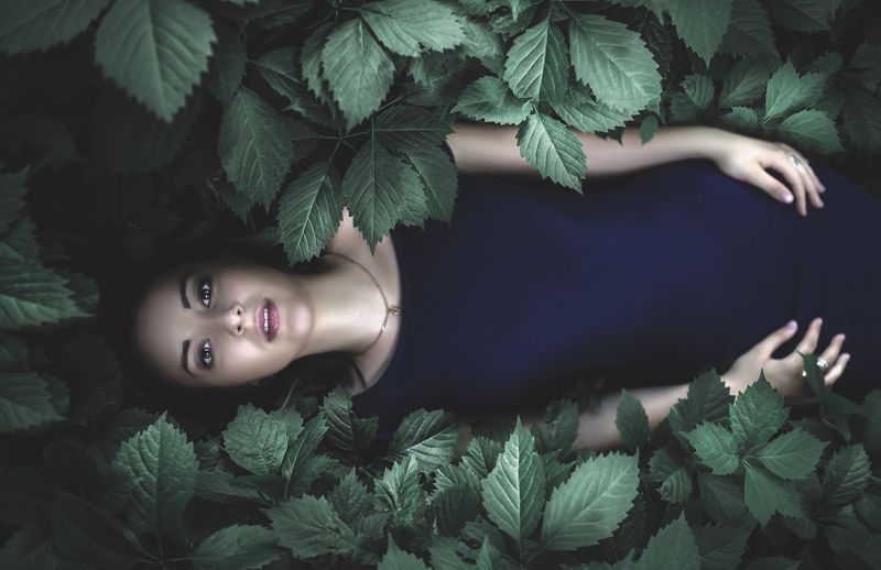 *** фото превью