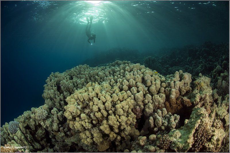 Погружение фото превью