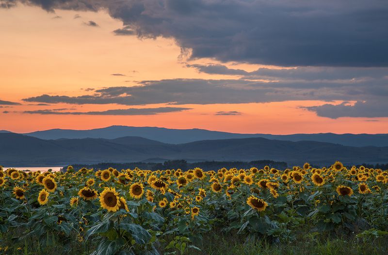 Вечерняя... фото превью