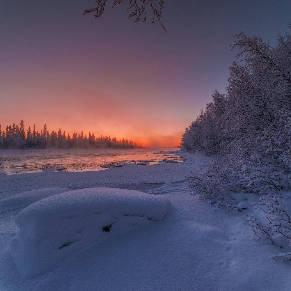 Заморозки, Заполярье, Кольский п-ов, Мороз, Север, Умба, Роман Горячий