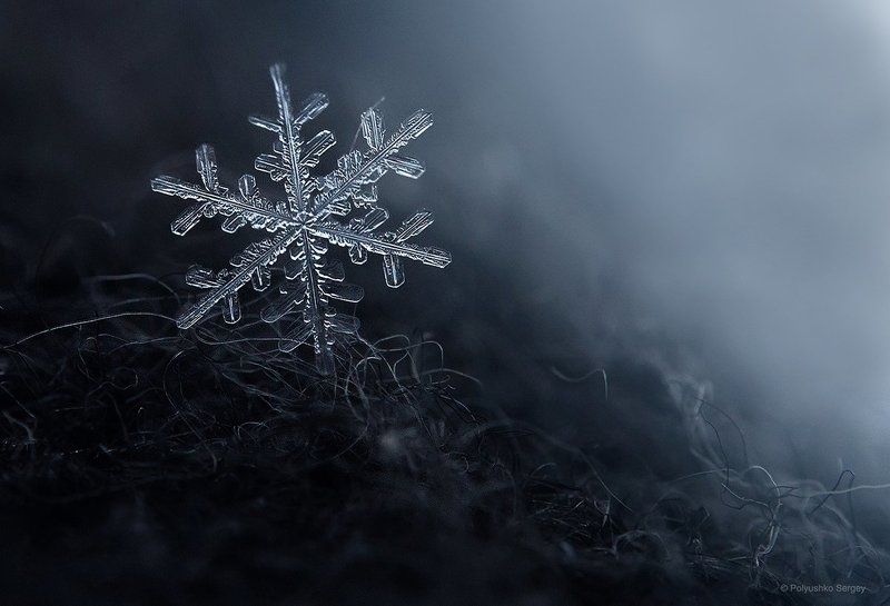ice, snowflake, winter, зима, снежинка Зимний макромир фото превью