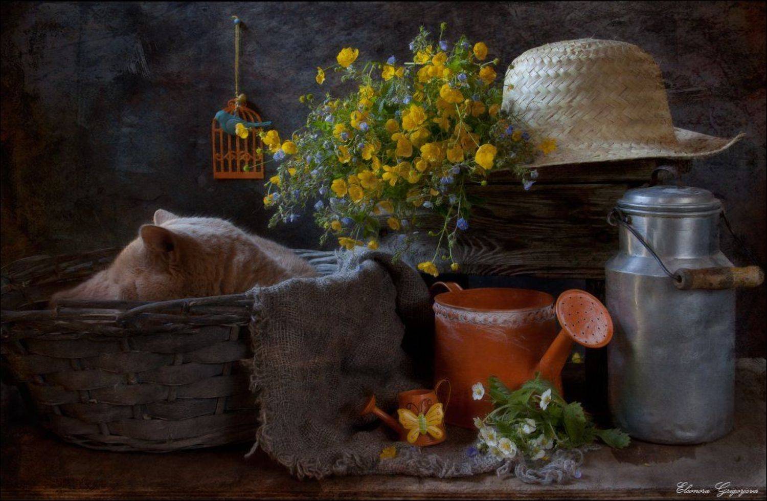 бидон молока, вероника, земляника, корзина, кот, лютики, натюркотики, соломенная шляпка, Eleonora Grigorjeva