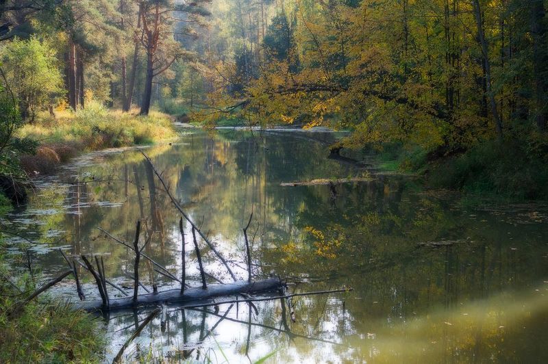 Осеннее настроение фото превью