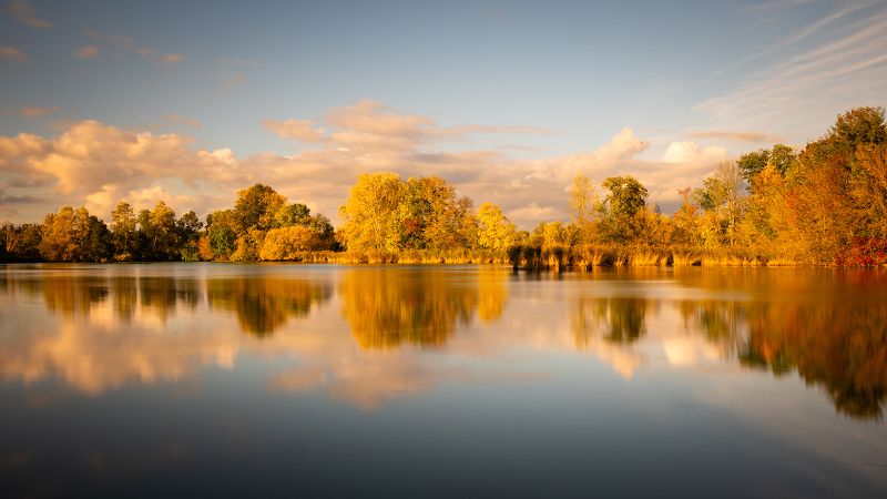 Autumn фото превью
