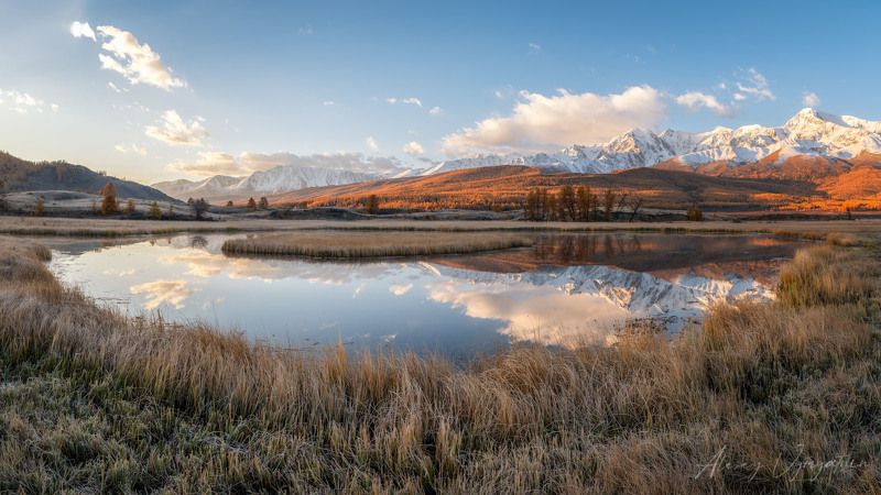 In the morning.. фото превью