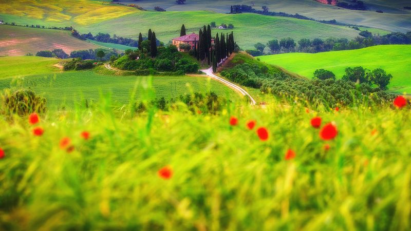 Tuscany фото превью