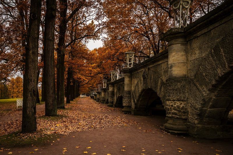 Осенний парк фото превью
