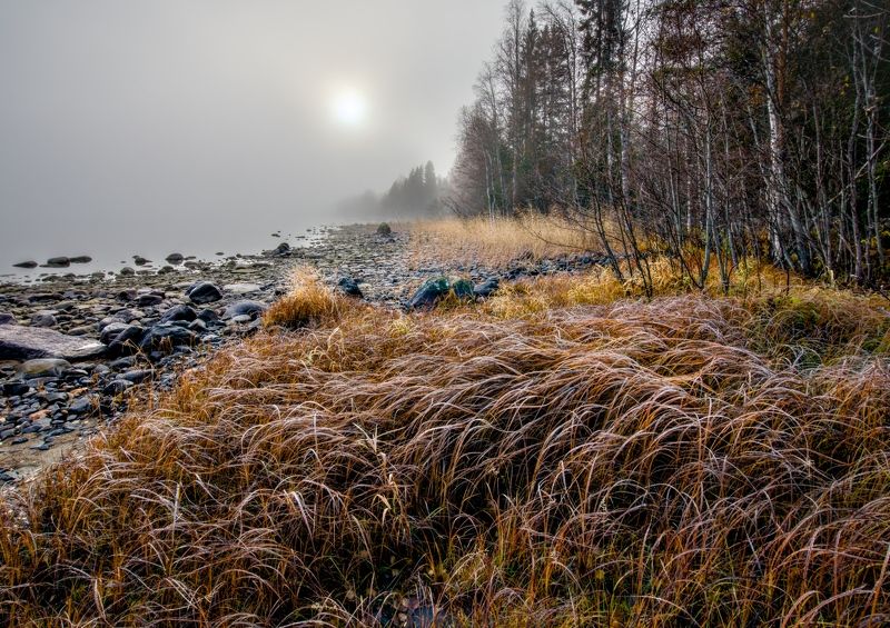 Иней на траве фото превью