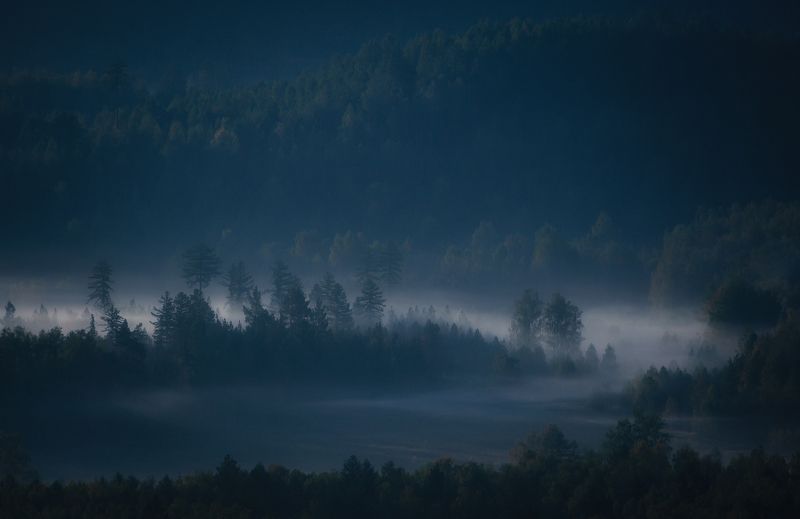 Туманным утром сентября фото превью