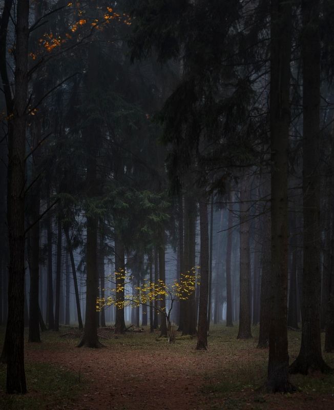 *** фото превью