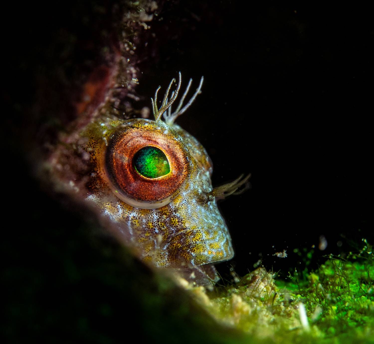 , Magali M&aacute;rquez