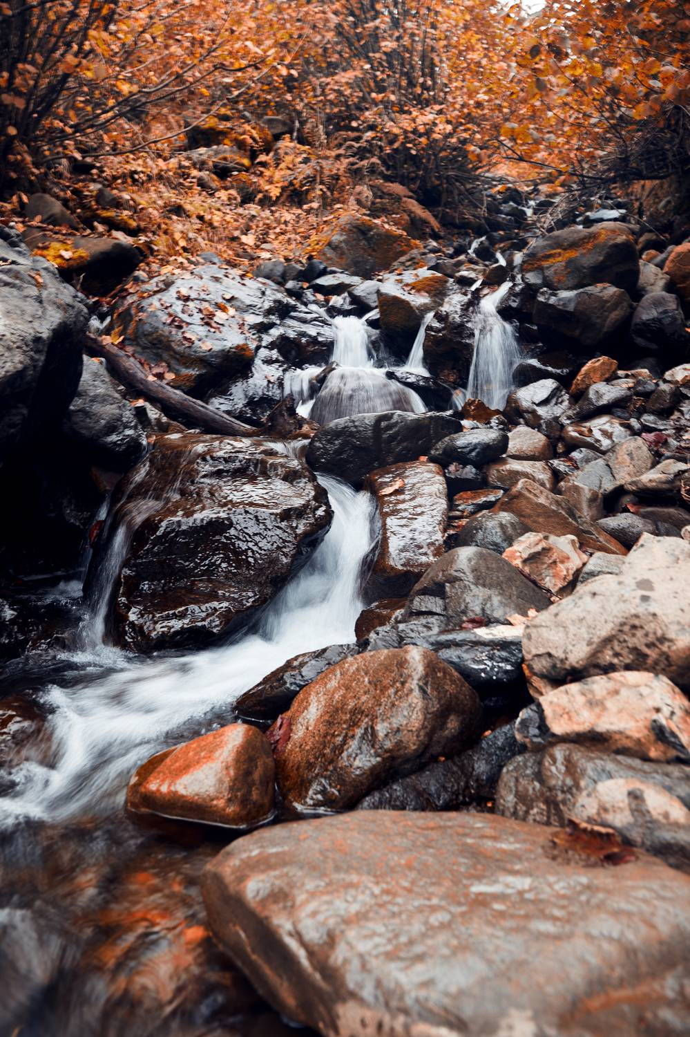 , Некрасов Денис