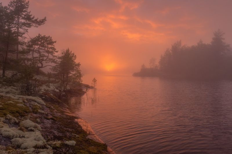 ладога, шхеры, карелия, ладожскиешхеры Туманный закат на Ладоге фото превью