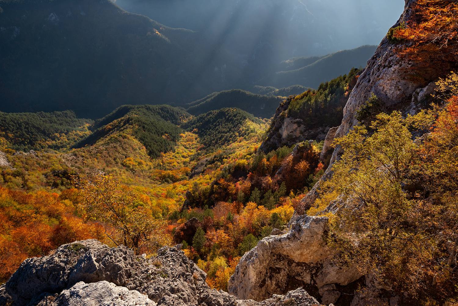 , Георгиев Иван