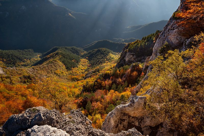 :) фото превью