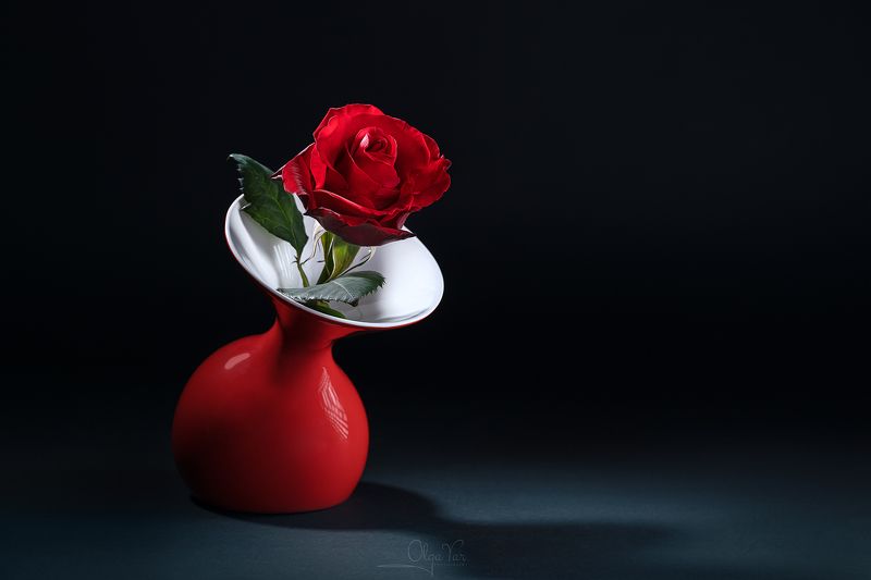 роза, цветок, черный фон, красная роза, ваза, минимализм Королева фото превью