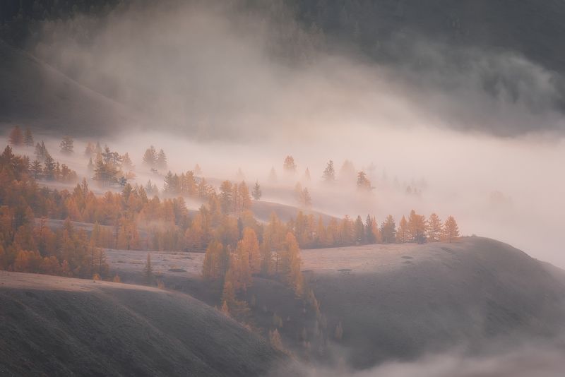 Туманное утро на Алтае фото превью