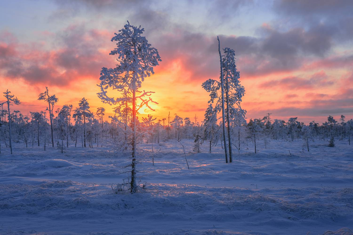 , Евдокимов Максим