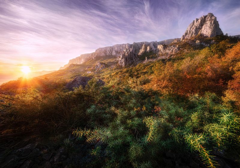 крым, горы, лес, осень, закат \