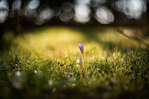 Триумф осенней жизни.