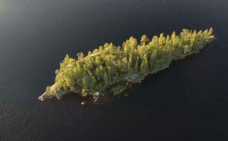 Чудо-Юдо Рыба-Кит фото превью