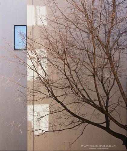 Гибкие силуэты