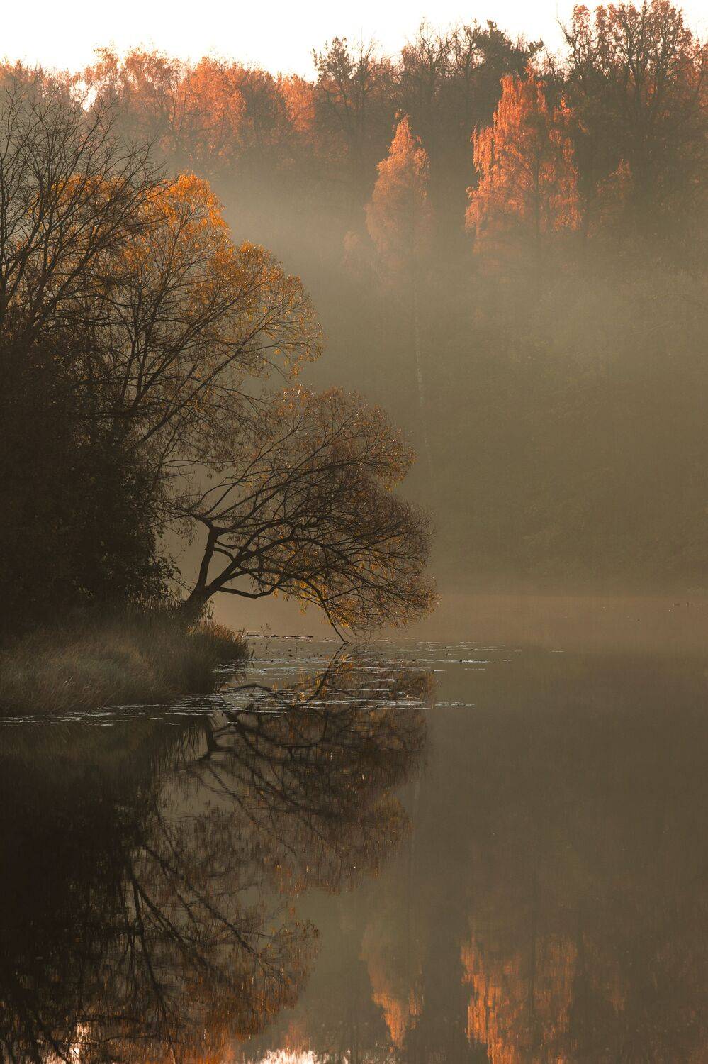 , Даников Анастасия