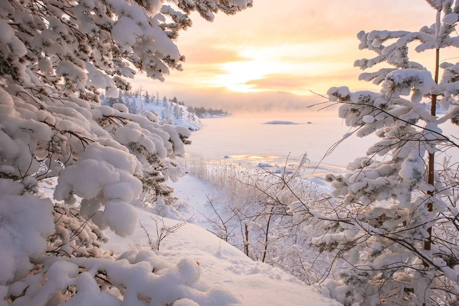 , Петр Косых