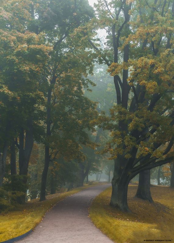 Тропинка в осень фото превью