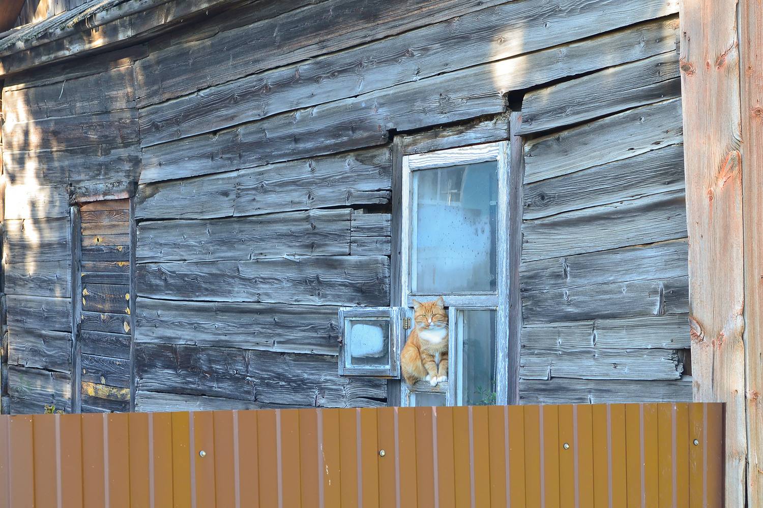 кот, КарОл