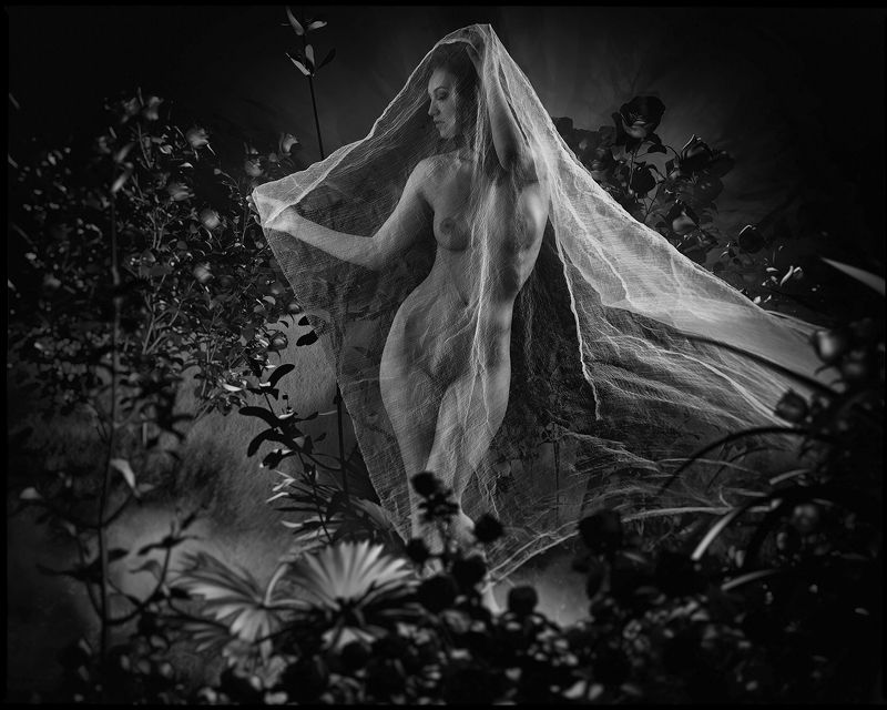 В волшебном саду фото превью