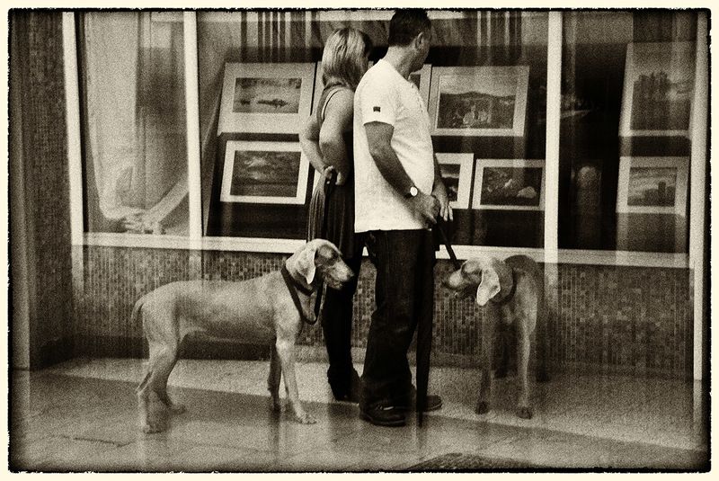 Двойная идентичность... фото превью