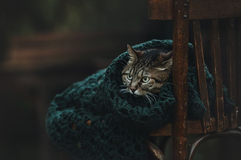 Скоро ноябрь... фото превью