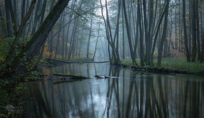 river,forest,woodland,woods,trees,reflections,water,autumn,autumnal, Late Autumn Vibes фото превью