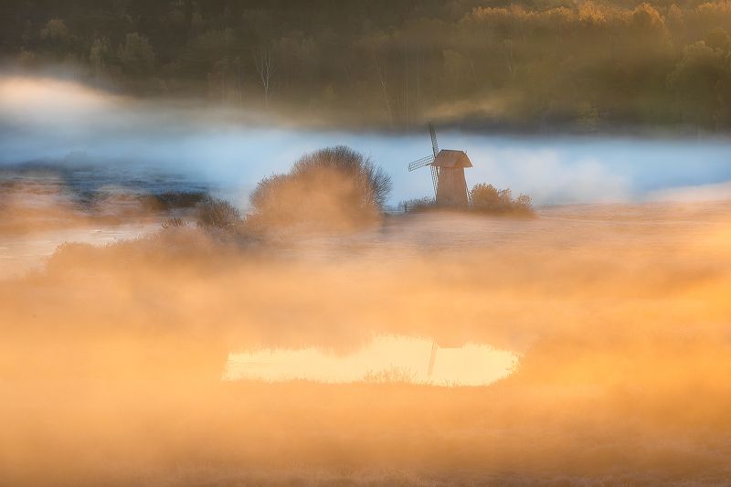 фототур, туризм, псковская область, пушгоры, обучение фотографии, осенний тур, мельница, осень, утро, туман, рассвет, В нежной пелене осеннего тумана. фото превью