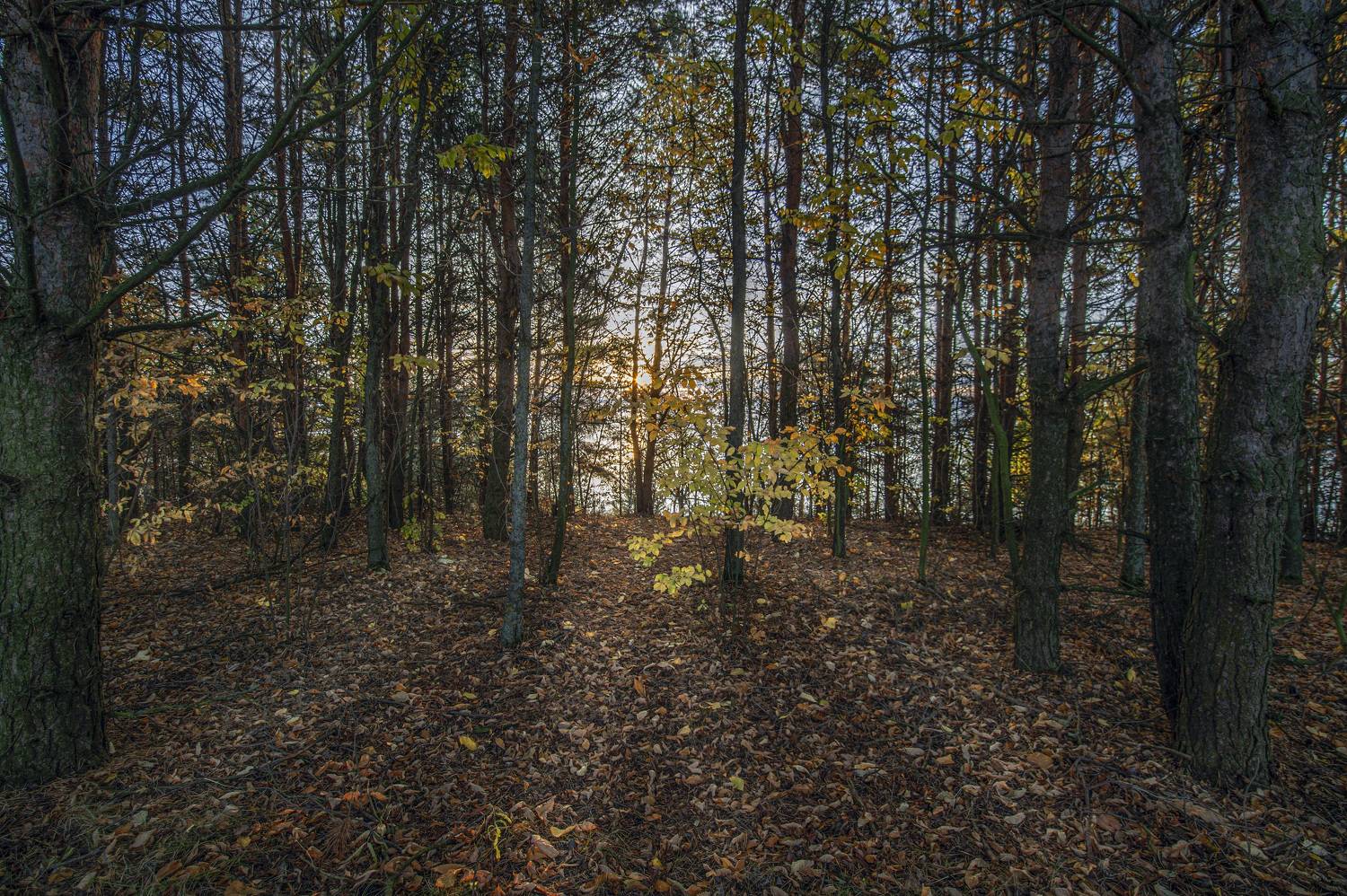 , Шитов Александр