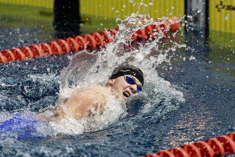 Застывшие в стекле. фото превью