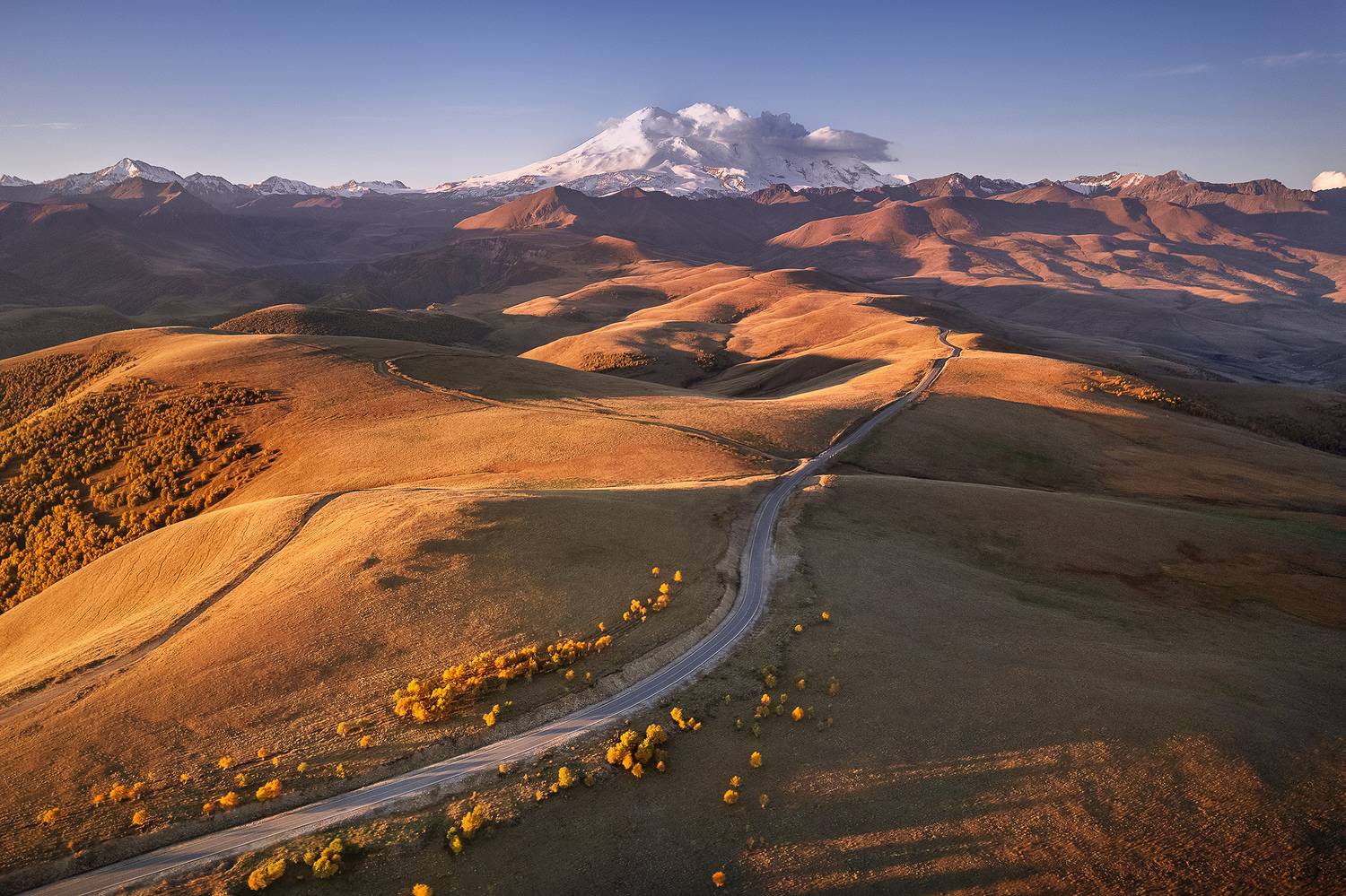 , Дмитрий Купрацевич